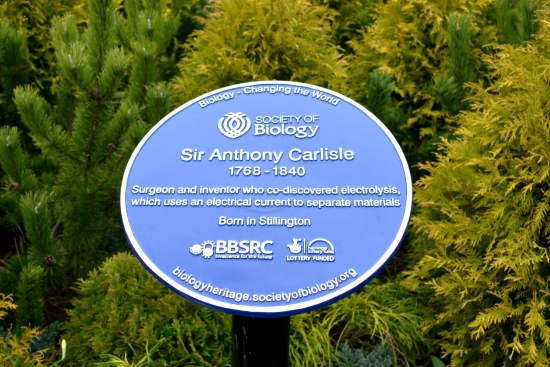 AC plaque closeup2