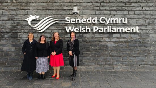 RSB, ASE, IOP and RSC colleagues at the Senedd in Wales