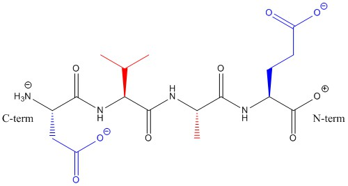 Questions example