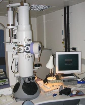 Scanning electron microscope