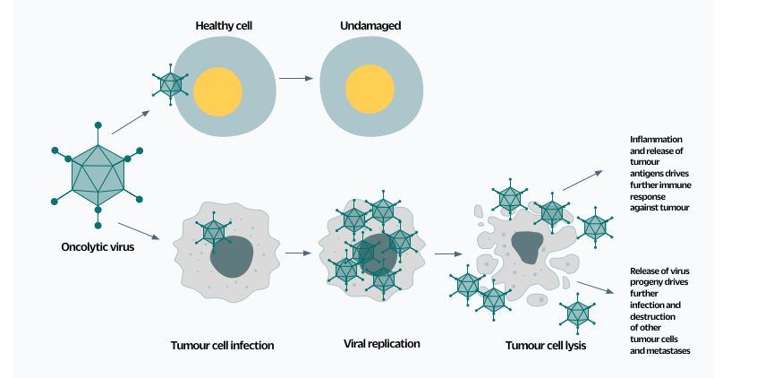 Oncolytic viruses figure1