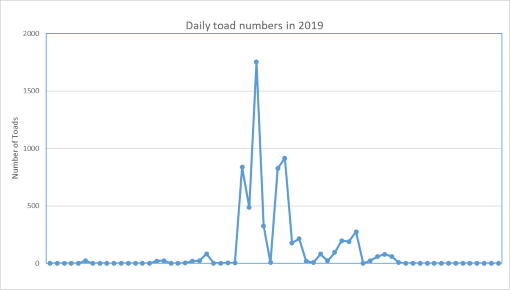 Toads graphic 1. resize