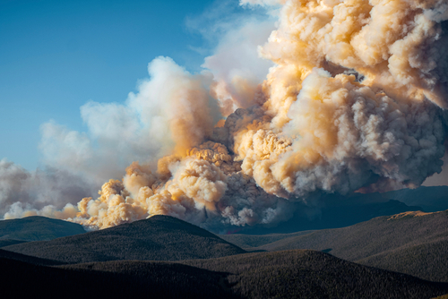 eDNA wildfire smoke