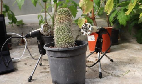 plant1 1520x855 rz