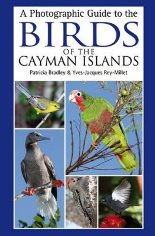 A Photographic Guide to the Birds of the Cayman Islands