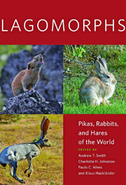 Lagomorphs