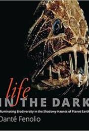 Lifeinthedark2