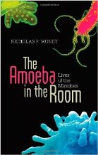 The Amoeba in the Room