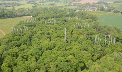 BIFOR ringsabove Norbury Estate cred