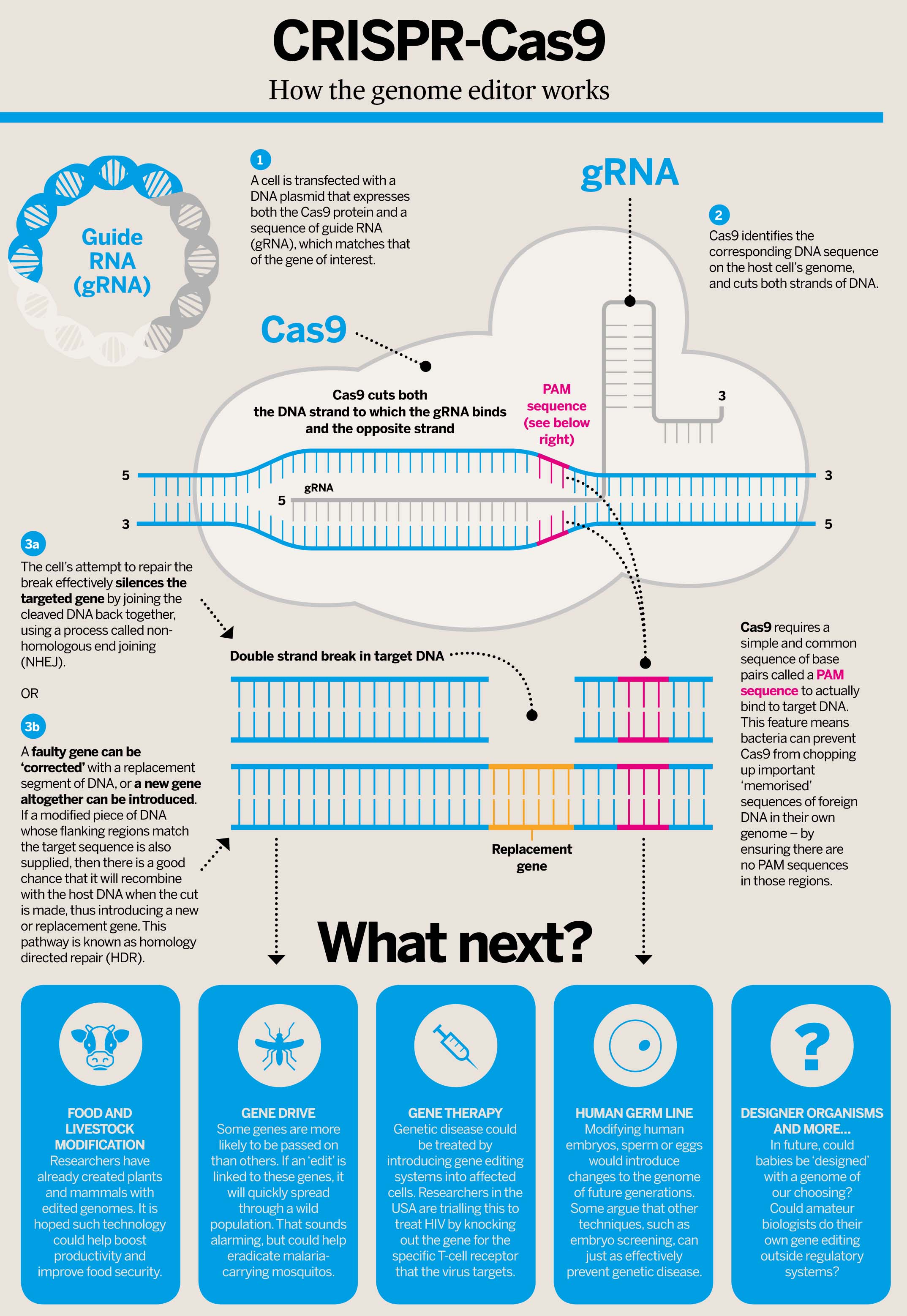 CRISPR-Cas9-web