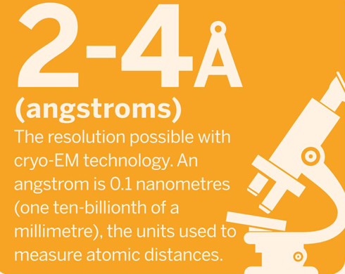 Cryo-electron microscopy - fact