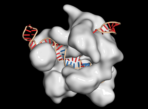 Gene editing