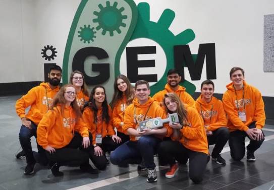 IGEM group TI