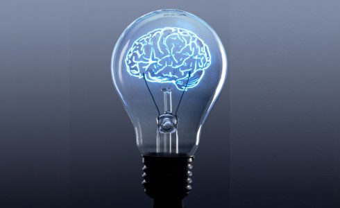 Shedding Light on the Brain