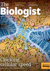 Magazine /images/biologist/archive/2025_18_02_Vol72_No1_Clocking_cellular_speed