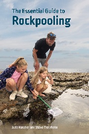 rockpooling