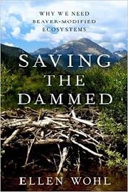 saving the dammed