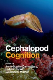 Cephalopod Cognition