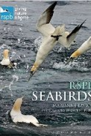 RSPB Seabirds