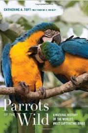 Parrots of the Wild