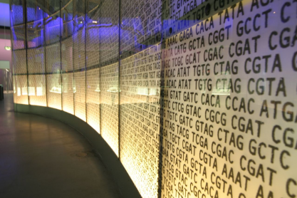 DNA code on display at the Science Museum in London, image by J Goode