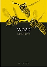 wasp